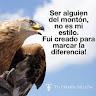 Aguila Fenix