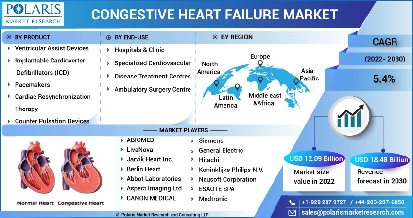 Congestive Heart Failure Market 2024 Growth Overview Facts   Rhabits 18968541a65fab8966831ff606cc4812 